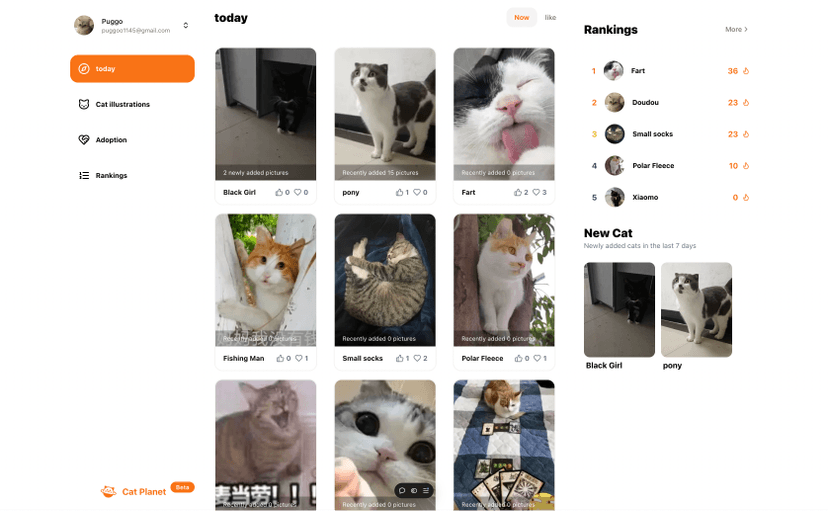 startup template